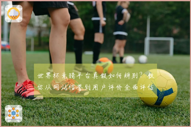 世界杯竞猜平台真假如何辨别？教你从网站信誉到用户评价全面评估