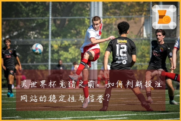 买世界杯竞猜之前，如何判断投注网站的稳定性与信誉？