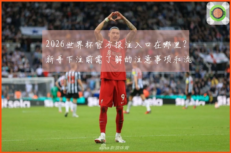 2026世界杯官方投注入口在哪里？新手下注前需了解的注意事项和流程